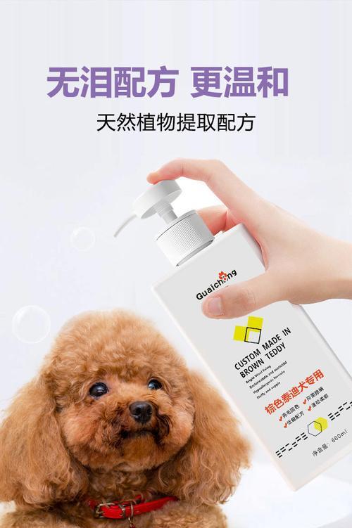贵宾犬的洗澡频率及注意事项（一周洗澡一次，让贵宾犬毛色亮丽健康）(图3)