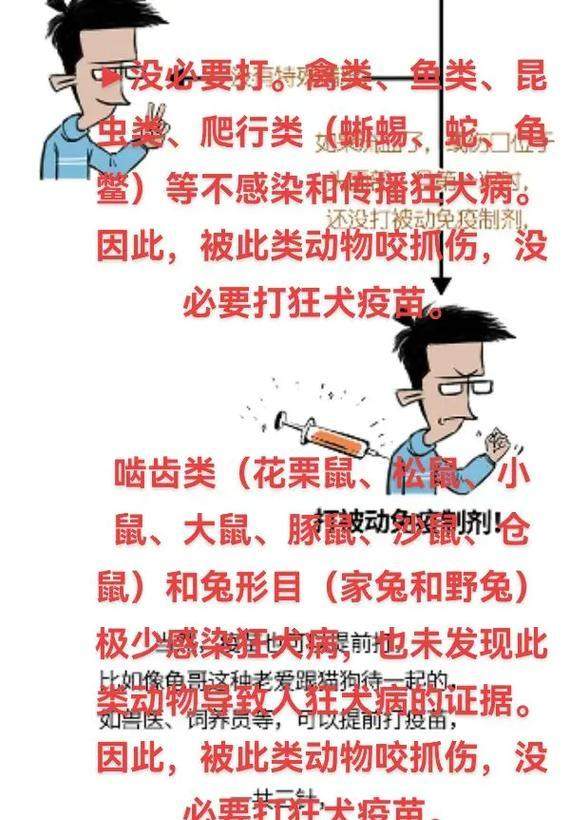狗狗接种狂犬疫苗后多久起效？（揭秘狗狗接种狂犬疫苗的时间和效果） - 悠悠酷狗网
