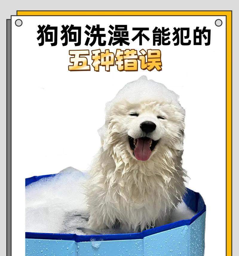 宠物狗生小狗多久后能洗澡的时机与注意事项（如何科学合理地为新生小狗洗澡以及洗澡前 - 悠悠酷狗网