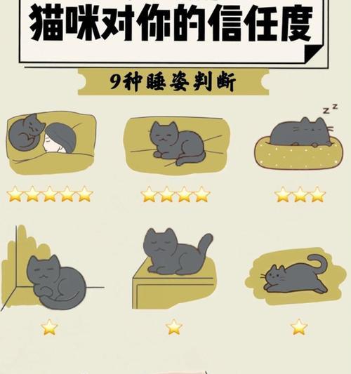 如何赢得猫咪的信任（建立与猫咪的深度连接，让它们成为你的好朋友）(图1)