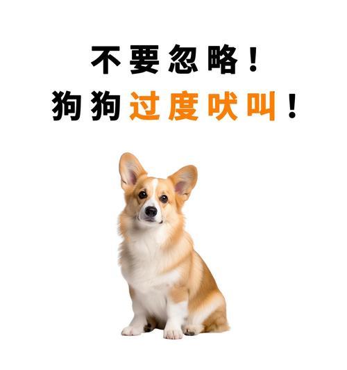 狗狗半夜不停叫，主人当心会误事（了解狗狗夜晚叫声的原因，保护家庭安全） - 悠悠酷狗网