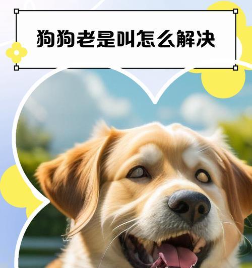 狗狗半夜不停叫，主人当心会误事（了解狗狗夜晚叫声的原因，保护家庭安全）(图2)