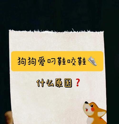 狗狗不咬人的时间是多久？（从初生到成熟，狗狗不咬人需要经历的阶段）(图2)