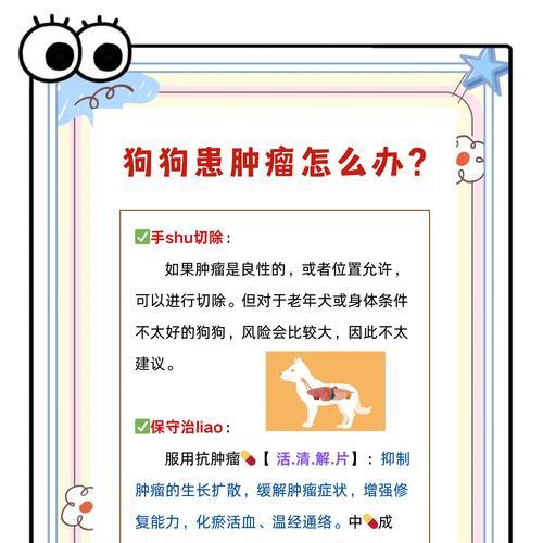 狗狗腹部肿大的原因及处理方法（了解狗狗腹部肿大的原因，及时采取正确的处理方法）(图3)