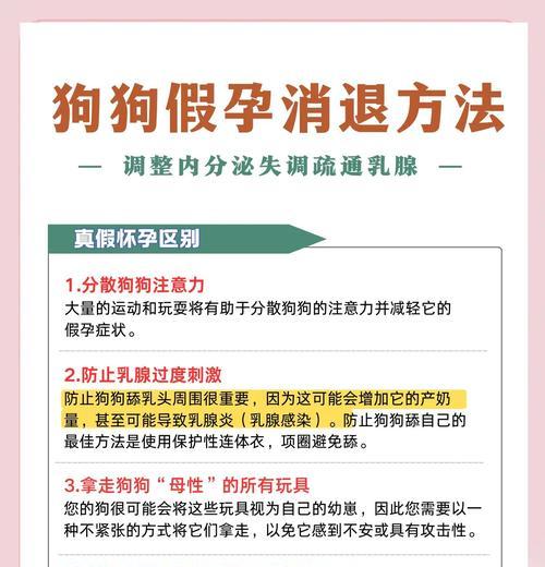母狗假孕的症状和疗程（了解假孕对母狗的影响及如何处理） - 悠悠酷狗网