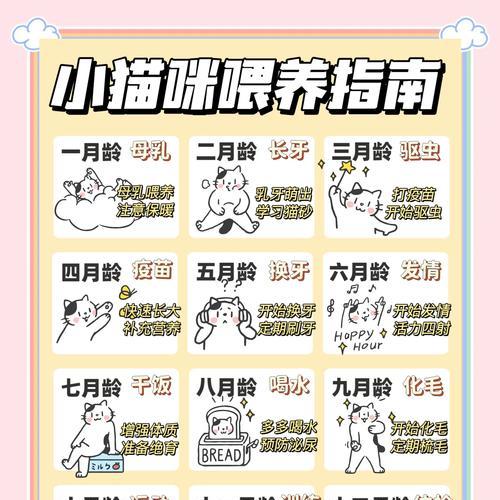 不同阶段幼猫的饲养秘籍（如何喂养不同阶段的幼猫？）(图3)