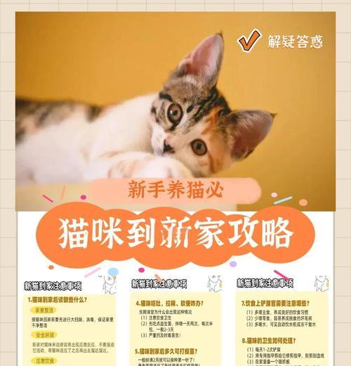 猫咪进新家需要适应多久？（探索适应新环境所需的时间和方法） - 悠悠酷狗网
