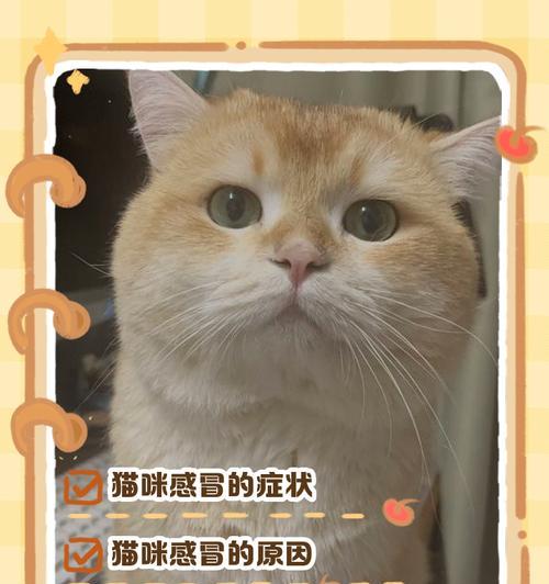 猫感冒治疗与预防方法（流鼻涕打喷嚏的猫如何有效治疗？合适的药物与护理方法来解决！ - 悠悠酷狗网