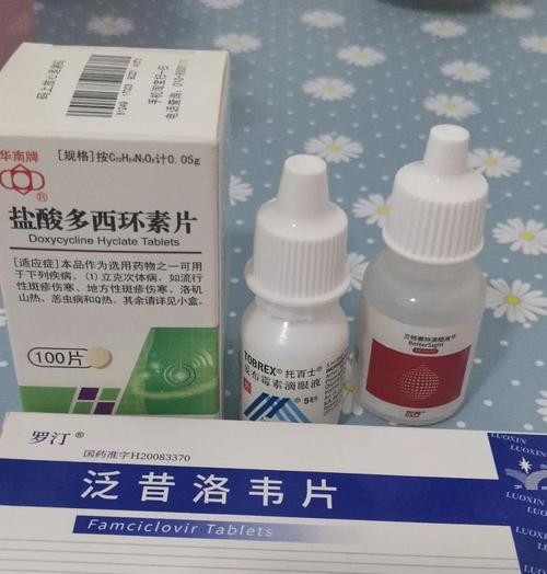 猫感冒治疗与预防方法（流鼻涕打喷嚏的猫如何有效治疗？合适的药物与护理方法来解决！）(图2)