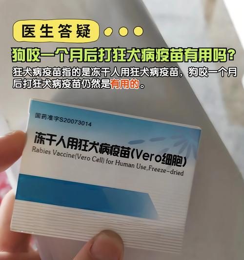 新买狗狗多久可以打疫苗？（宠物狗疫苗接种时间及重要性）(图3)
