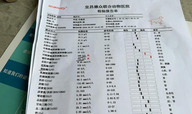 比熊犬常见疾病解析（探讨比熊犬容易患的健康问题及预防措施）(图3)