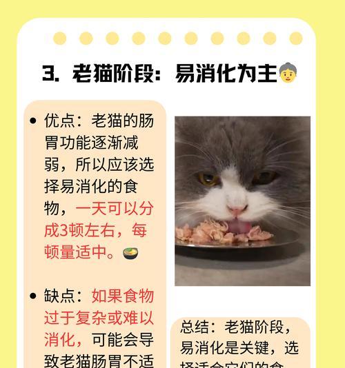 猫便秘益生菌——如何正确使用及食用时间？（解决猫咪便秘问题的关键步骤与时间节点）(图2)