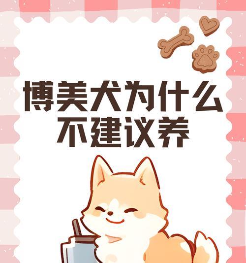 影响博美犬价格的因素及其（了解博美犬价格的关键因素，选择适合自己的宠物伴侣）(图2)