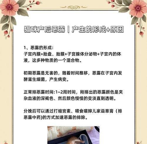 小猫产后流血多久？（了解产后出血的持续时间及注意事项）(图1)