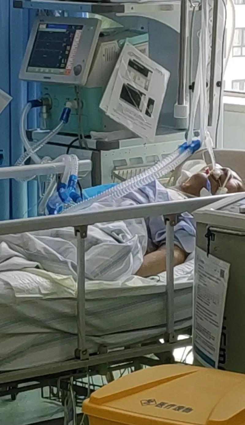 宠物生病（面对高昂的治疗费用，如何做出正确的选择）(图1)