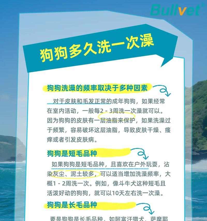 小狗洗澡后多久可以进行体内驱虫？（科学解析洗澡与驱虫的最佳时间间隔） - 悠悠酷狗网
