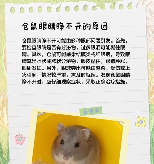 小仓鼠眼睛出现问题的原因及处理方法（小仓鼠眼睛问题的解决方法及预防措施）(图3)
