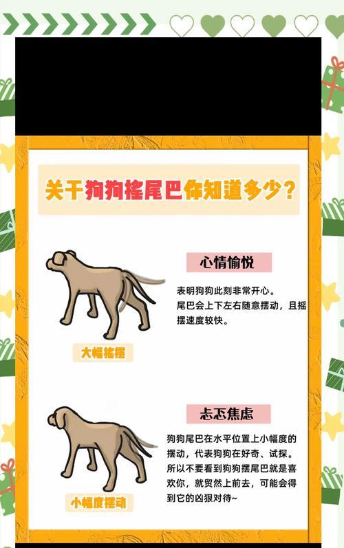 狗狗断尾（关于狗狗断尾的利弊和注意事项）(图1)
