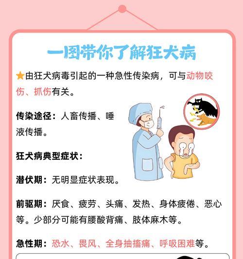 狂犬病(揭秘狂犬病对宠物寿命的影响及预防措施)(图3) 狂犬病(揭秘狂犬病对宠物寿命的影响及预防措施)(图3)