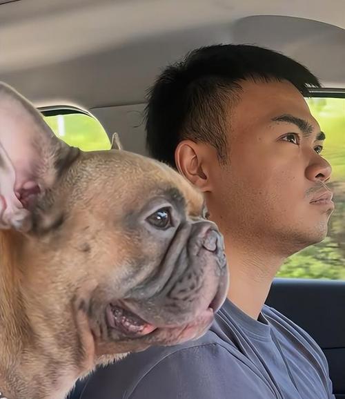 狗狗如何用不同方式与你互动（主人们别错过了，与狗狗亲密接触的各种方式）(图3)