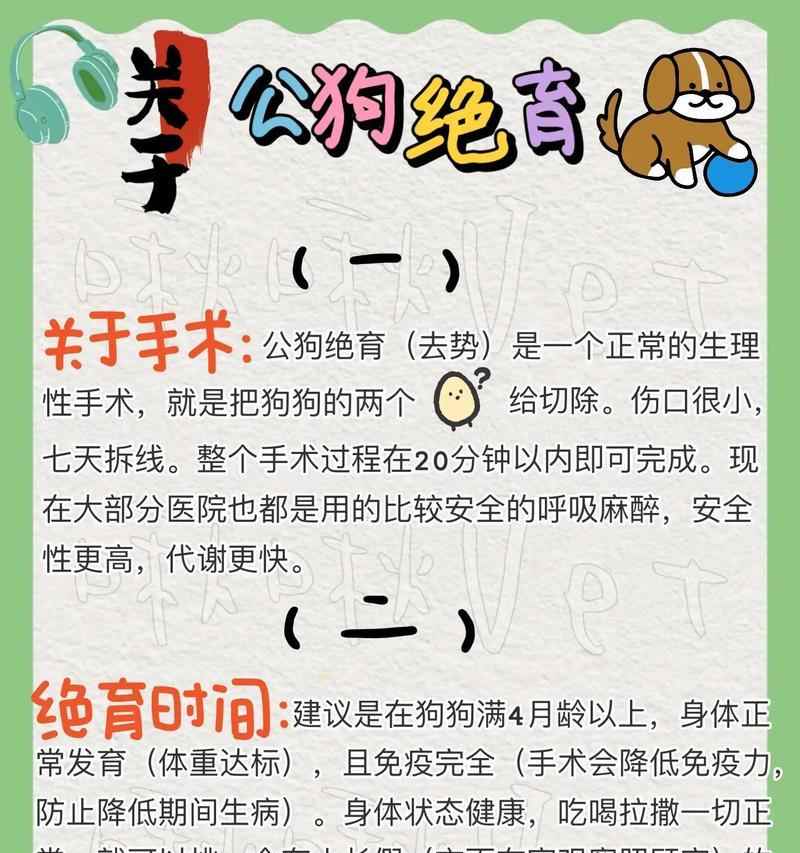 狗狗绝育手术的最佳时机（了解狗狗绝育手术的最佳年龄和时间）(图2)