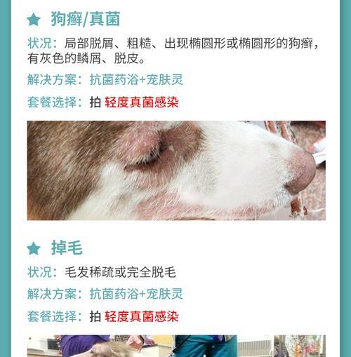 宠物药浴180一瓶(探索宠物药浴180的效果和用途,为你的宠物提供全方位的护理)(图3) 宠物药浴180一瓶(探索宠物药浴180的效果和用途,为你的宠物提供全方位的护理)(图3)