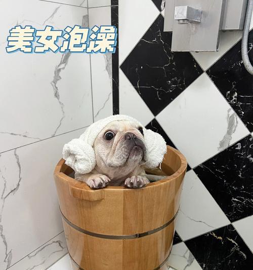 宠物药浴180一瓶（探索宠物药浴180的效果和用途，为你的宠物提供全方位的护理） - 悠悠酷狗网