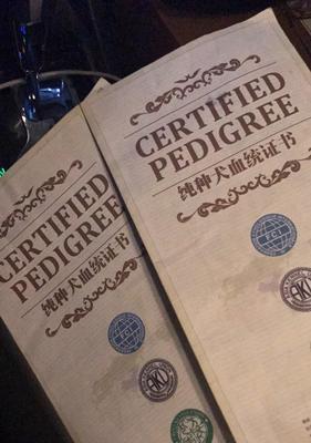 狗狗出生纸办理时间及流程详解（探寻办理狗狗出生纸的步骤、所需时间和注意事项）(图2)