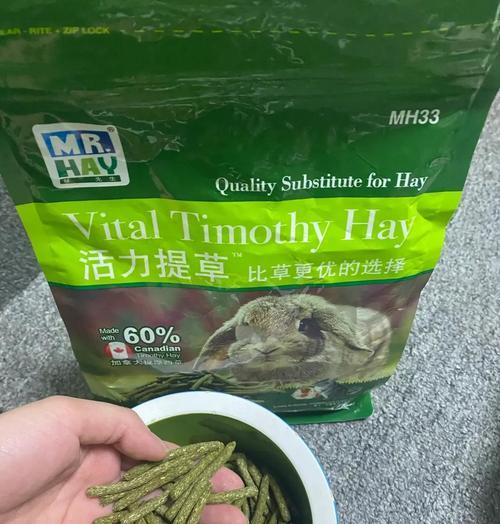 养龙猫的必备知识和准备事项（掌握龙猫饲养全科普，满满的干货为你准备！） - 悠悠酷狗网