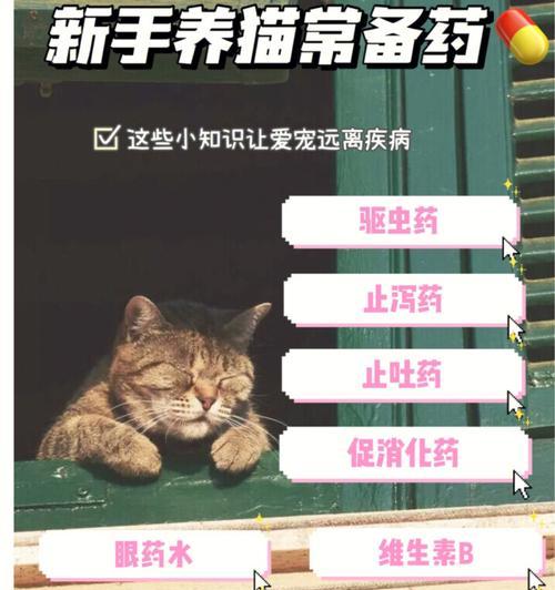 给猫上完药后需要多久才能见效？（给猫上完药后的观察时间和注意事项）(图2)