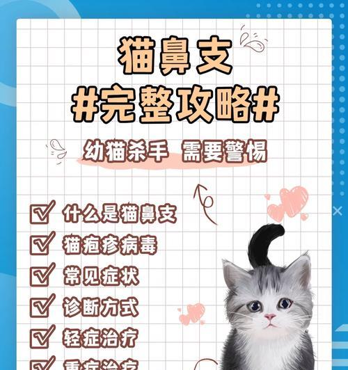 给猫上完药后需要多久才能见效？（给猫上完药后的观察时间和注意事项）(图1)