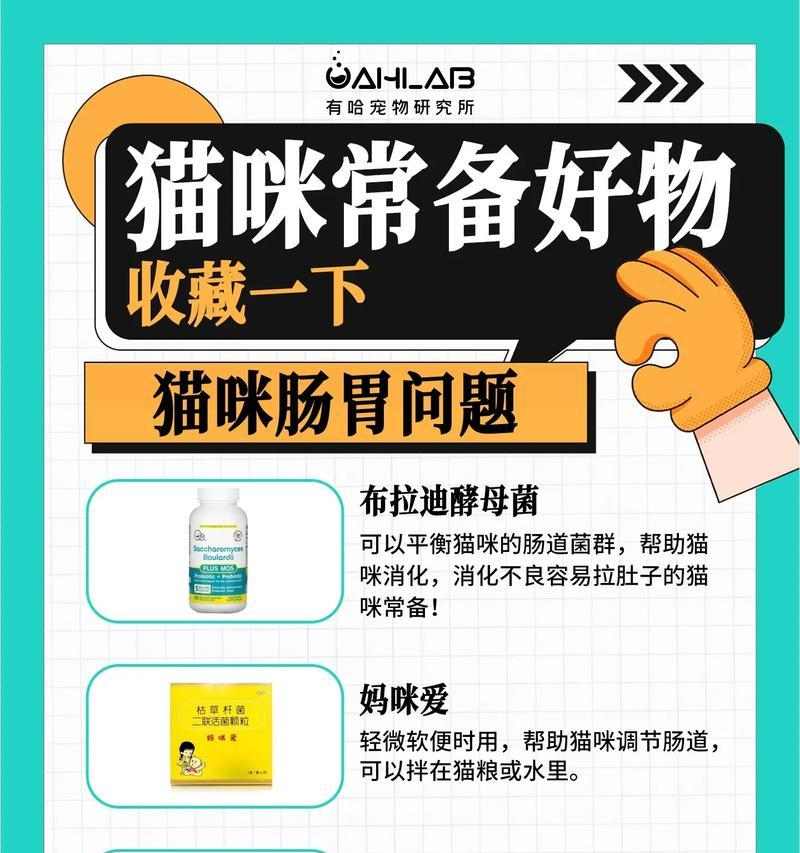 给猫上完药后需要多久才能见效？（给猫上完药后的观察时间和注意事项）(图3)