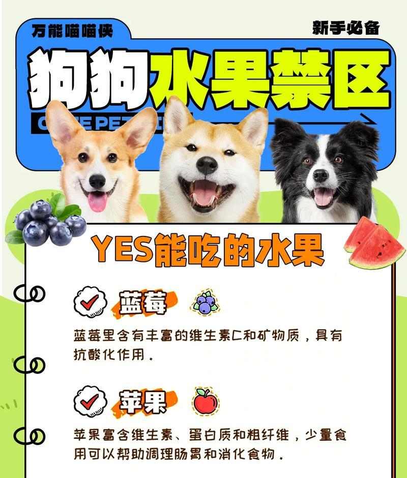 阿比西尼亚猫能吃哪些水果？（了解阿比西尼亚猫饮食偏好，为它们提供合适的水果。） - 悠悠酷狗网