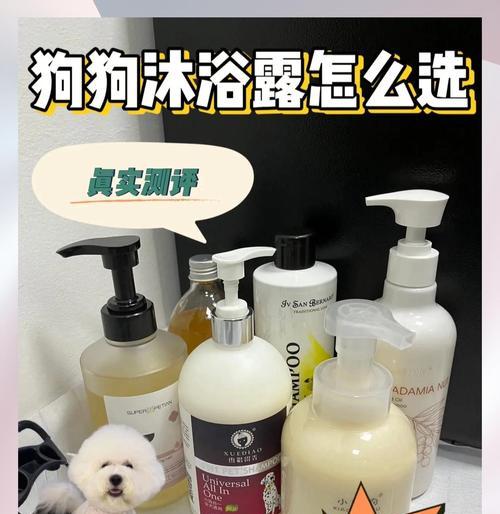 比熊三个月后可以洗澡吗?(探讨比熊宝宝洗澡的最佳时机和注意事项)(图3) 比熊三个月后可以洗澡吗?(探讨比熊宝宝洗澡的最佳时机和注意事项)(图3)