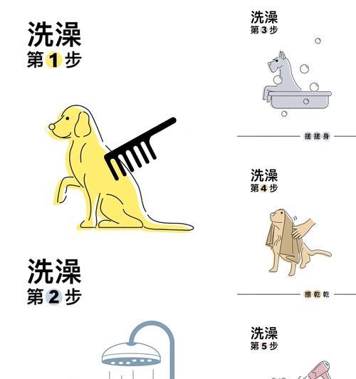 如何辨别新生小狗的性别（简单技巧帮你分辨母狗和公狗） - 悠悠酷狗网