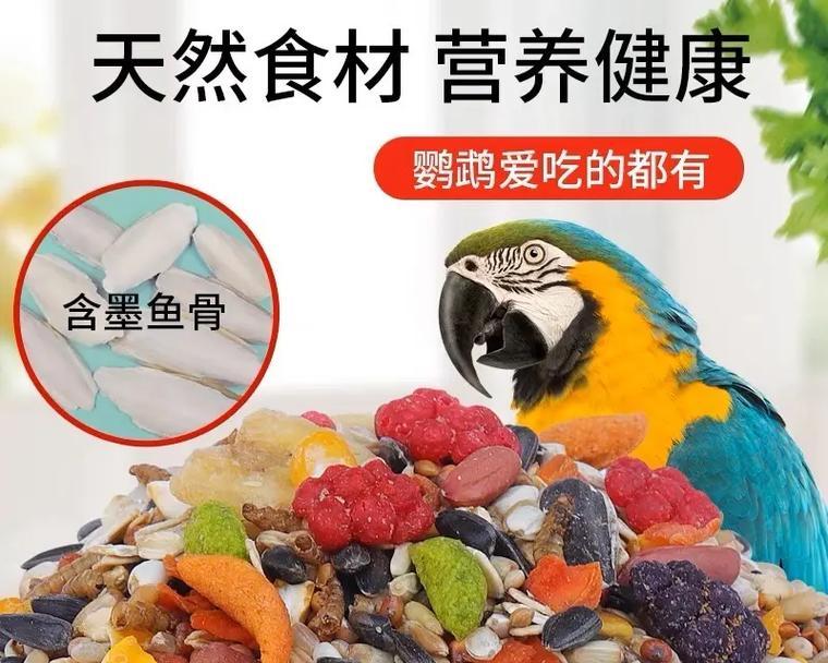 鹦鹉的食物特点与饲养方法（了解鹦鹉的食性，让你成为贴心的饲主）(图2)