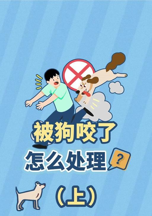 狗狗会咬人会攻击怎么办？（千万别乱办，狗狗也会咬主人吗？）(图2)