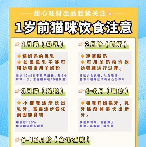 2个月幼猫的饮食需求（幼猫奶粉喂养知识全面解析） - 悠悠酷狗网