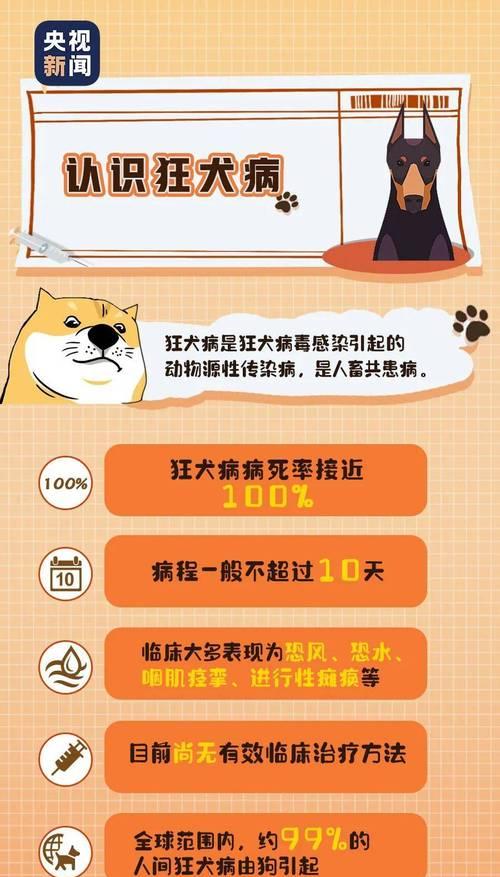 狗狗打狂犬疫苗的重要性（了解狂犬疫苗接种时间，守护宠物健康）(图2)