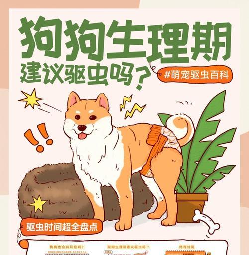 如何正确给狗狗驱虫（保护狗狗免受内外寄生虫侵害，关键在于合理的打针策略）(图2)