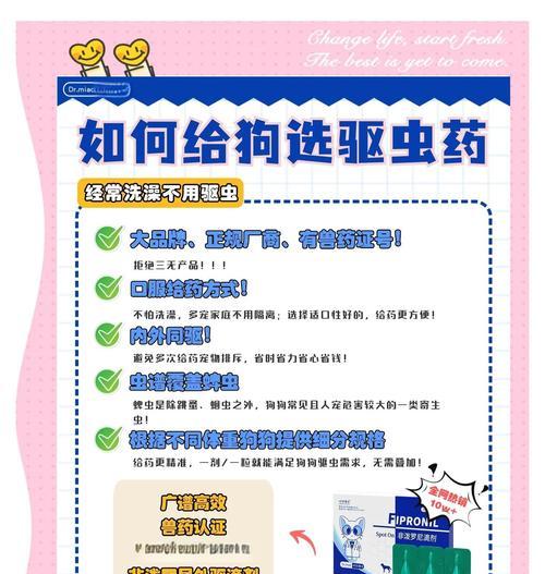 如何正确给狗狗驱虫（保护狗狗免受内外寄生虫侵害，关键在于合理的打针策略）(图1)