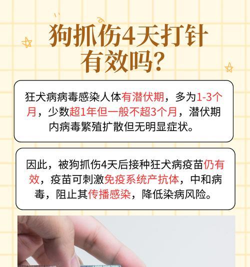 狗狗打狂犬疫苗的重要性（了解狂犬疫苗接种时间，守护宠物健康） - 悠悠酷狗网