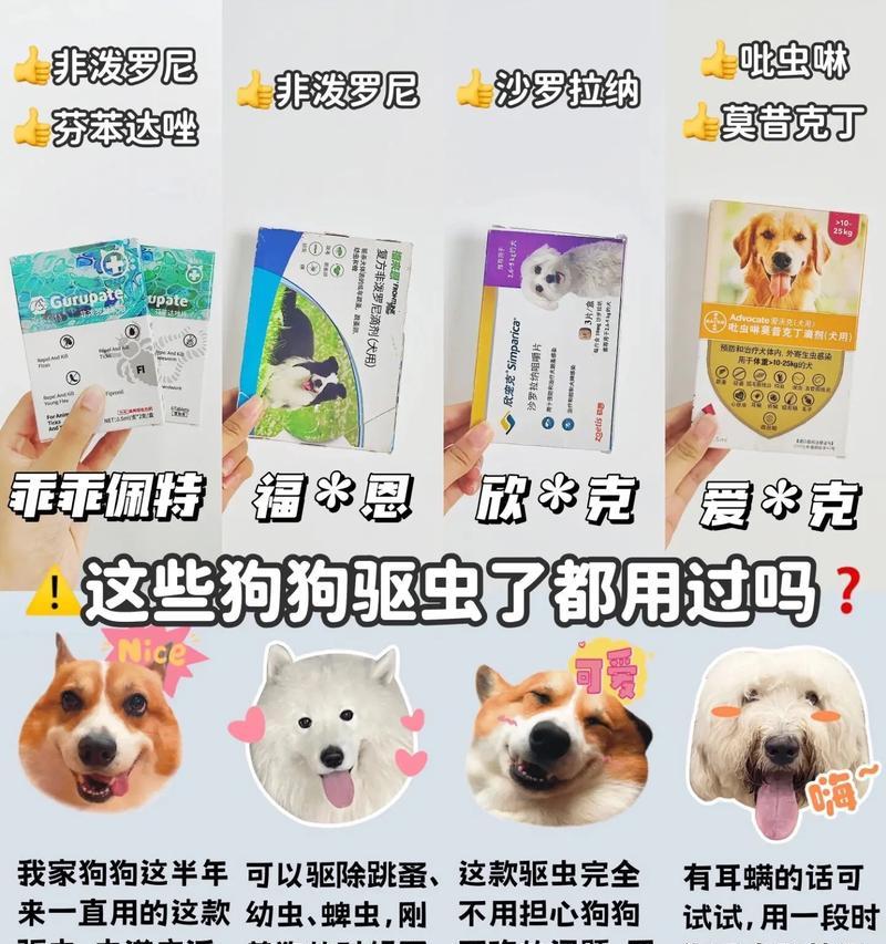 四个月大的狗狗需要多久驱虫一次？（关于狗狗驱虫频率的重要指南）(图2)