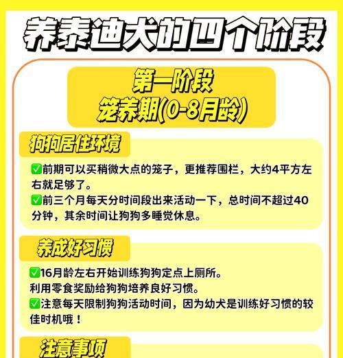 贵宾犬（了解贵宾犬的成长周期和养育要点）(图2)