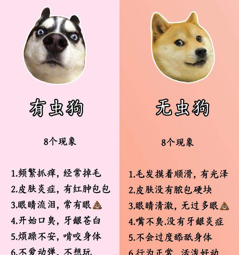 四个月大的狗狗需要多久驱虫一次？（关于狗狗驱虫频率的重要指南 - 悠悠酷狗网