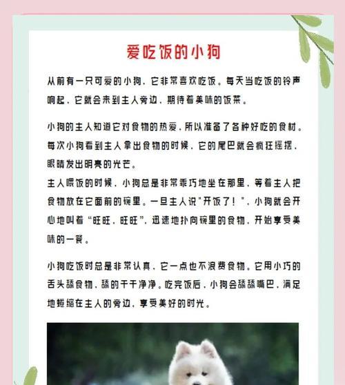 40天小狗每天吃一顿，它的饮食节律是如何形成的？（小狗饮食习惯的形成过程及影响因素）(图2)