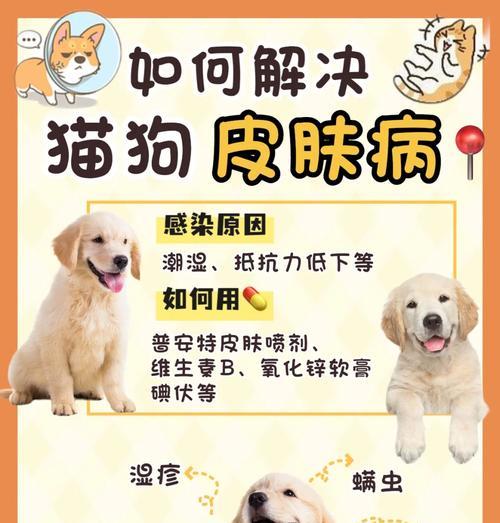 宠物狗疾病传染如何预防（了解常见狗狗传染