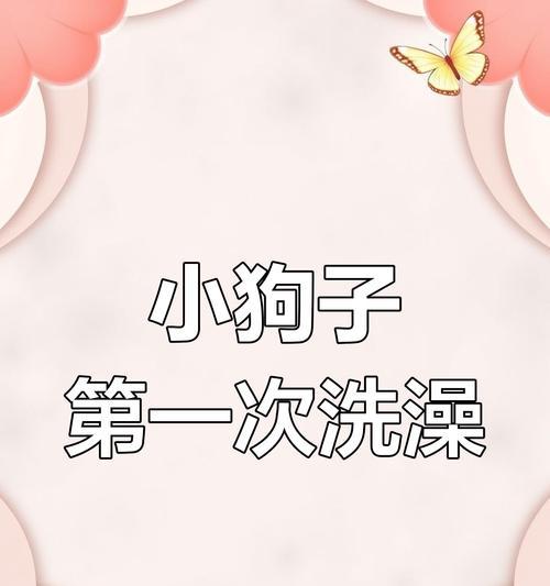 金毛犬产后多久可以洗澡？（产后护理与清洁的关键）(图1)