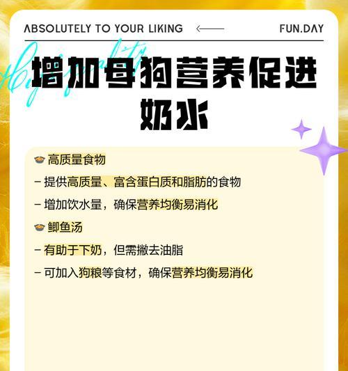 母狗的哺乳频率及其（了解母狗哺乳的规律及喂养注意事项）(图3)