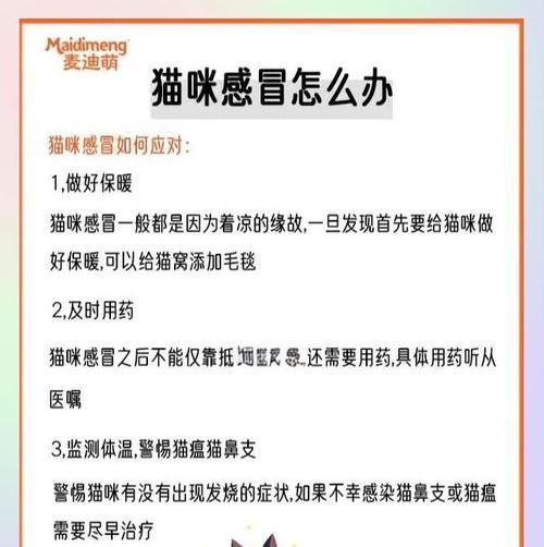猫感冒（探究猫感冒的康复时间及其影响因素）(图2)